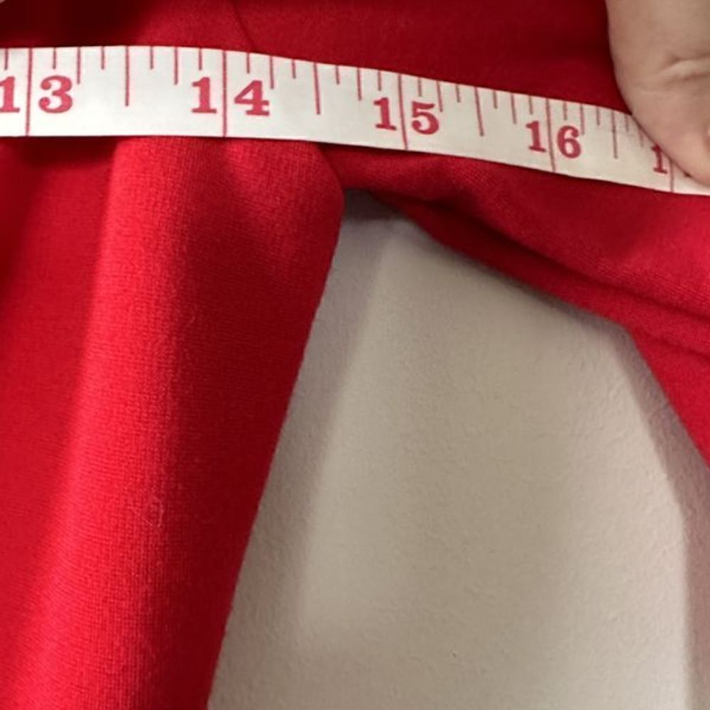 Lulu’s Sheer Factor Red Mesh Skater Dress - Picture 5 of 14